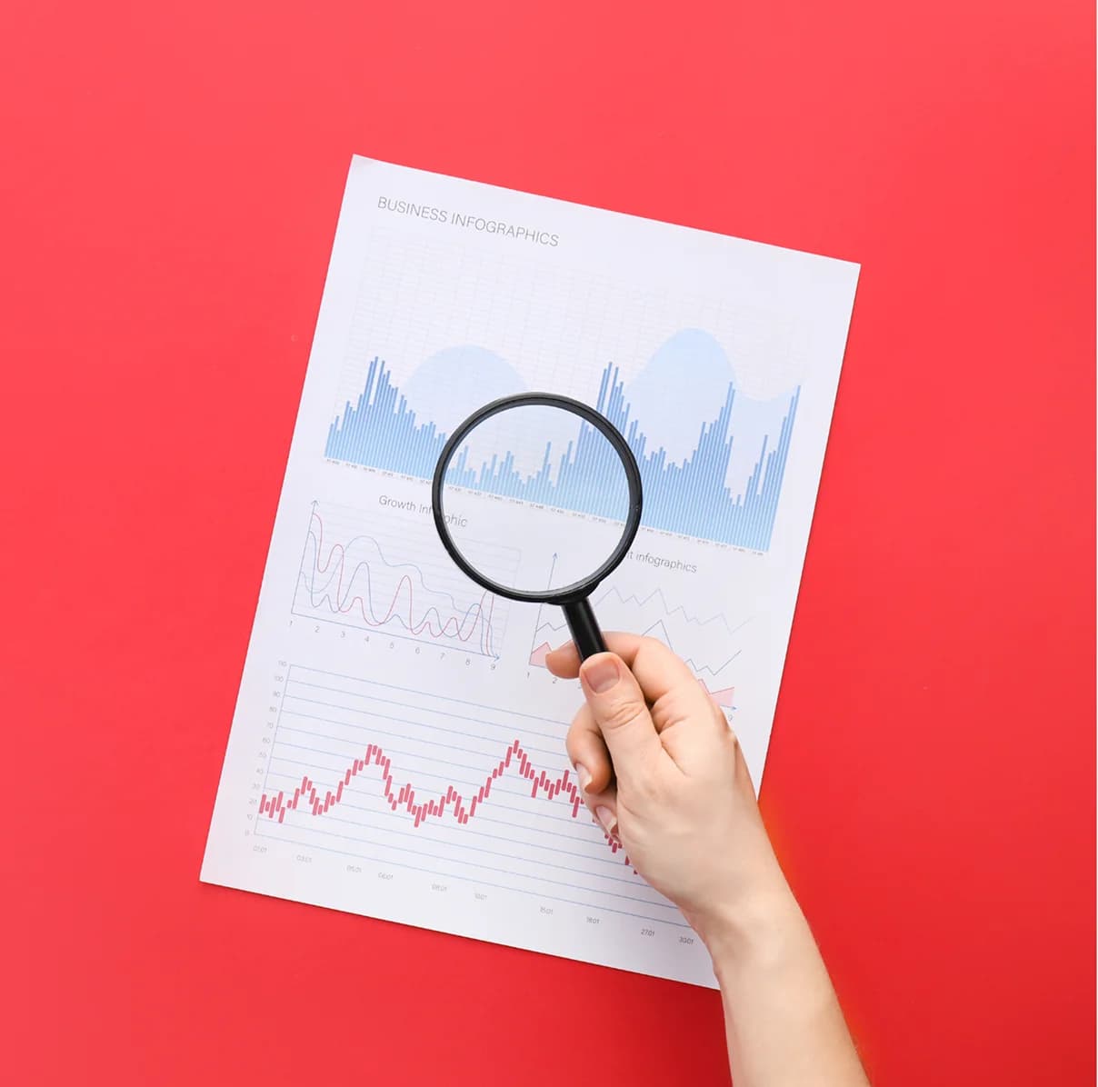 Monthly ranking & traffic reports